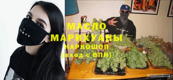 дмт Пересвет